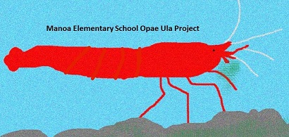 Manoa Elementary School project